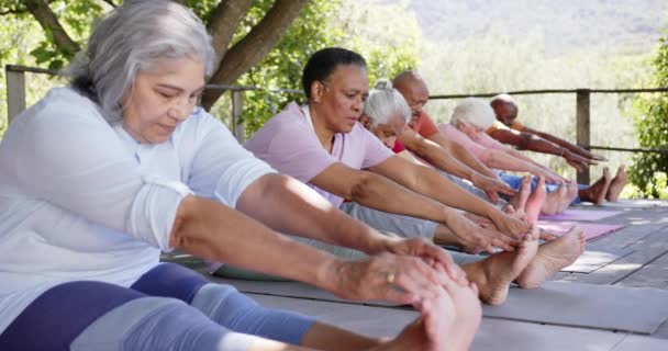 Happy Diverse Senior Yoga Group Sitting Touching Toes Sunny Nature — Stock Video