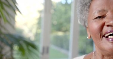 Mutlu son sınıf Afro-Amerikan kadınlarının yarım portresi güneşli odada gülüyor, fotokopi odası, ağır çekim. Yaşlılar, emekliler, mutluluklar ve aile hayatı, değişmemiş..