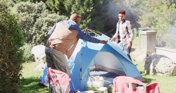 快乐的非洲裔美国人父亲和儿子一起在阳光灿烂的乡间搭帐篷 动作缓慢 闲暇时间 父亲身份 家庭和户外生活方式 — 图库视频影像