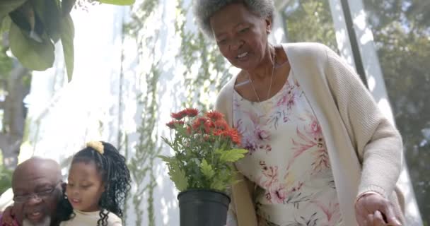 Šťastní Afroameričtí Prarodiče Vnoučata Sázející Květiny Slunné Zahradě Zpomalený Film — Stock video