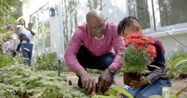 Mutlu Afro-Amerikan büyükbabası ve torunu bahçede aileleriyle çiçek dikiyor, ağır çekimde. Bahçıvanlık, doğa, aile, birliktelik, mutluluk, yaşam tarzı ve ev hayatı, değiştirilmemiş..
