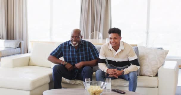 Emocionado Padre Afroamericano Hijo Adulto Viendo Deporte Televisión Celebrando Cámara — Vídeos de Stock