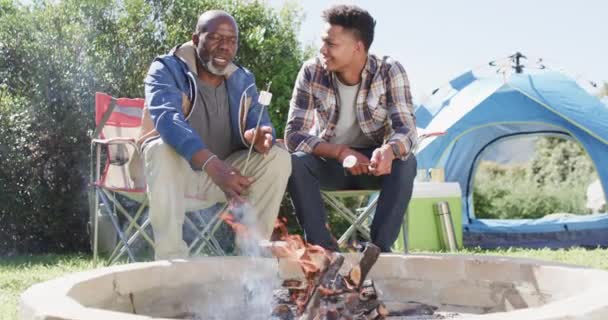 Šťastný Africký Americký Otec Syn Připíjejí Marshmallows Nad Táborákem Kopírují — Stock video