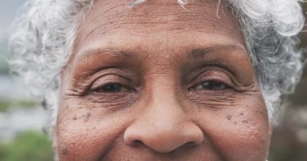 Портрет Усміхненої Старшої Афроамериканки Копіювання Простору Повільний Рух Старший Спосіб — стокове відео