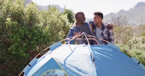Mutlu Afro Amerikan Baba Oğlu Güneşli Kırsal Kesimde Çadır Kuruyor — Stok video