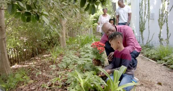Gelukkige Afro Amerikaanse Grootvader Kleinzoon Tuinieren Met Familie Kopieerruimte Slow — Stockvideo