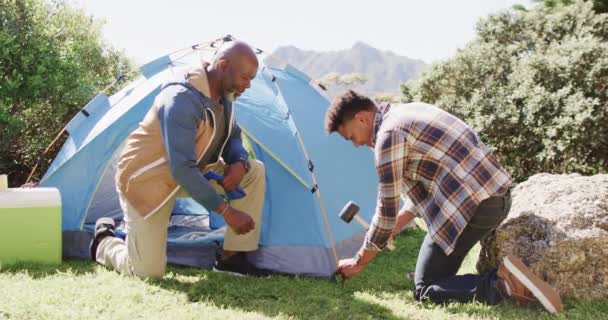 快乐的非洲裔美国人父亲和儿子一起在阳光灿烂的乡间搭帐篷 动作缓慢 闲暇时间 父亲身份 家庭和户外生活方式 — 图库视频影像
