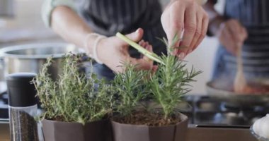 Orta yaşlı beyaz bir çift otları doğruyor, mutfakta birlikte yemek pişiriyorlar, ağır çekimde. İlişki, yemek, yemek, yaşam tarzı ve ev hayatı, kopyalama alanı, değiştirilmemiş.