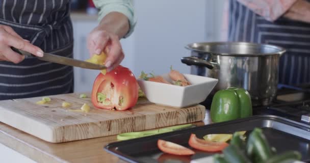 Mulher Caucasiana Meia Idade Preparando Refeição Cozinhar Cozinha Casa Câmera — Vídeo de Stock