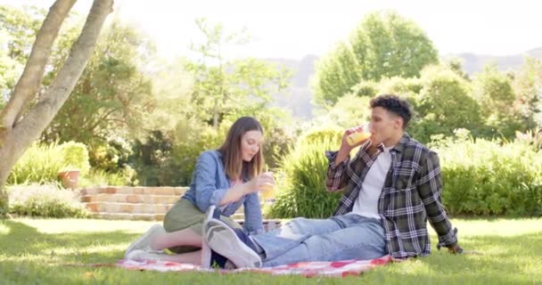 晴れた庭でピクニックをしている幸せな多様なカップル トータル ピクニック 食べ物 ライフスタイル 夏と自然 変わらない — ストック動画