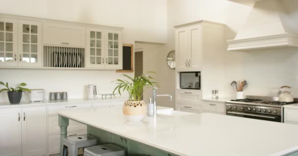 Mutfak Adası Lavabo Fırın Gaz Sobası Güneşli Mutfakta Beyaz Mobilyalar — Stok video