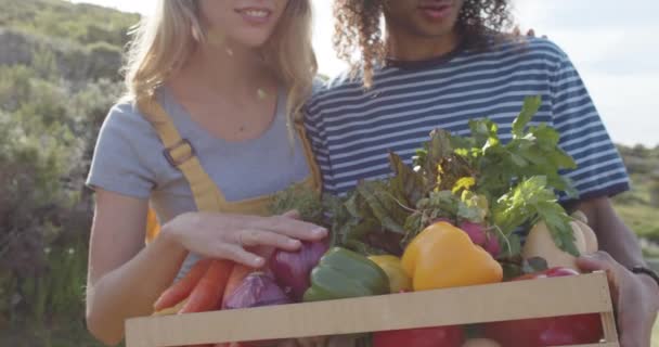 Retrato Casal Diverso Feliz Segurando Cesta Legumes Frescos Jardim Câmera — Vídeo de Stock