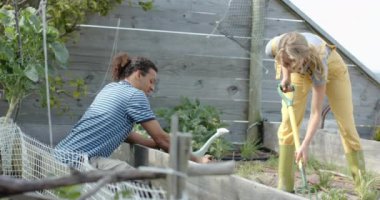 Bahçede çalışan ve bitki eken mutlu çift, yavaş çekim. Organik, kendine yetme, doğa, büyüme ve yaşam tarzı, değişmemiş..