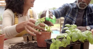 Bahçe terasında saksı ve çiçek sulayan mutlu çift, yavaş çekim. Doğa, bahçıvanlık, hobiler, ekoloji, birliktelik, ev hayatı ve yaşam tarzı, değişmemiş..