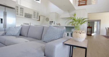 Gri kanepe, ev çiçeği ve güneşli evdeki pencere. İç tasarım, ev ve ev hayatı.