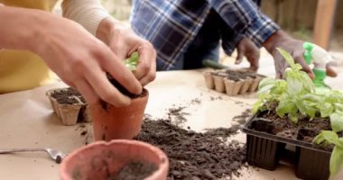 Bahçe terasında tohum tohumu yetiştiren çeşitli olgun çiftlerin orta kesimi, yavaş çekim. Doğa, bahçıvanlık, hobiler, ekoloji, birliktelik, ev hayatı ve yaşam tarzı, değişmemiş..