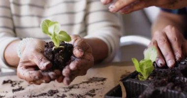 Masada oturan ve verandada saksı saksı eken yaşlı çiftler. Emeklilik, rahatlık, birliktelik, bahçıvanlık, bitkiler ve doğa konsepti, değiştirilmemiş.