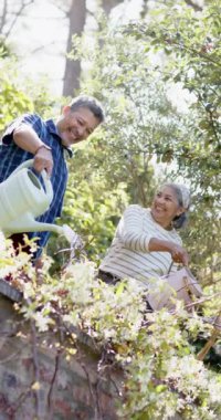 Sunny Garden 'da dikey olarak bitkileri sulayan ikinci sınıf mutlu çift. Emeklilik, dinlenme, boş zaman, birliktelik ve doğa konsepti, değiştirilmemiş..