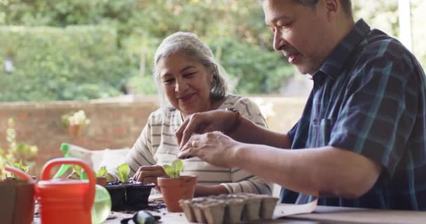 Szczęśliwa Zróżnicowana Para Seniorów Siedząca Przy Stole Sadząca Rośliny Ganku — Wideo stockowe