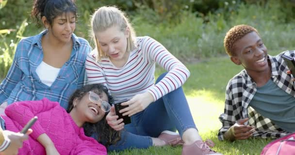 Felice Gruppo Eterogeneo Amici Adolescenti Utilizzando Smartphone Parlando Nel Parco — Video Stock