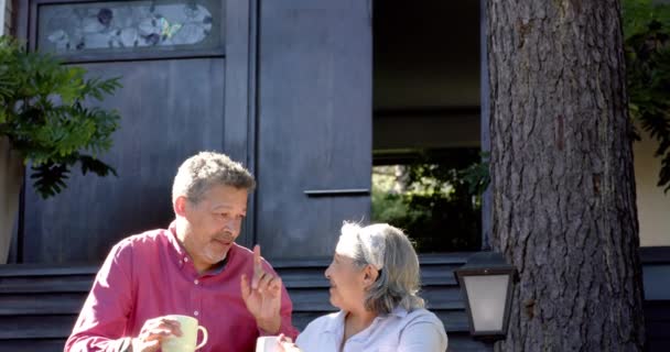 Feliz Casal Bisracial Sênior Sentado Bebendo Chá Jardim Ensolarado Aposentadoria — Vídeo de Stock