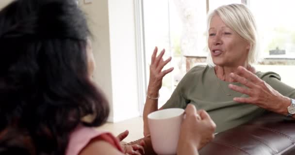 Щасливі Різноманітні Старші Жінки Обговорюють Посміхаються Дивані Сонячній Вітальні Повільний — стокове відео