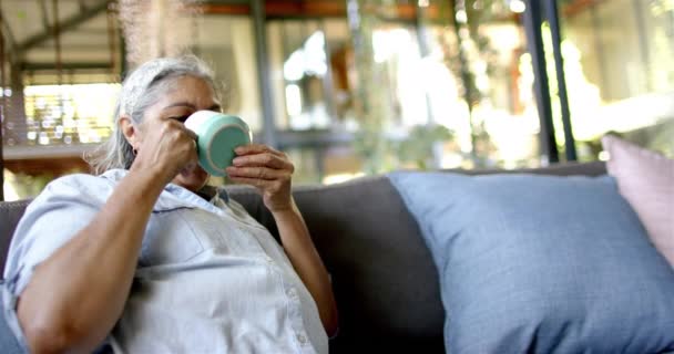 Biracial Senior Woman Sitting Couch Drinking Tea Looking Side Home — Stock Video