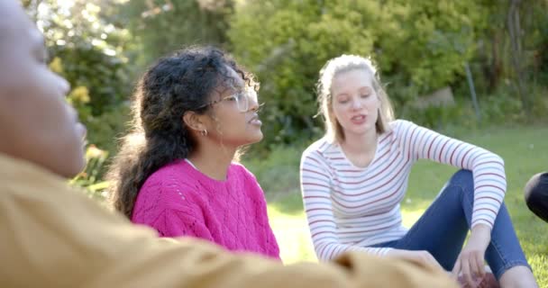 Heureux Groupe Diversifié Amis Adolescents Assis Sur Herbe Parlant Dans — Video