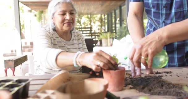 Šťastný Pár Seniorů Kteří Sedí Stolu Sázejí Rostliny Verandu Důchod — Stock video