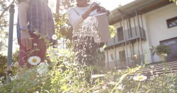 Happy Biracial Senior Couple Watering Plants Sunny Garden Retirement Leisure — Stock Video