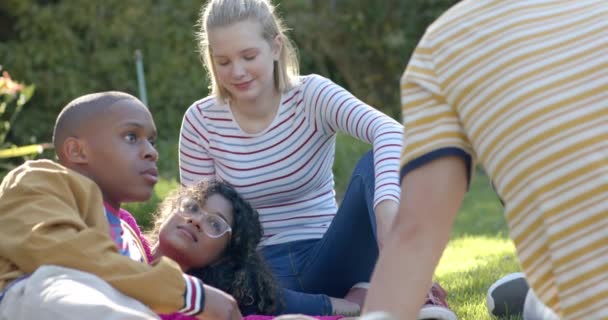 Mutlu Genç Arkadaş Grubu Çimenlerde Oturup Güneşli Parkta Ağır Çekimde — Stok video