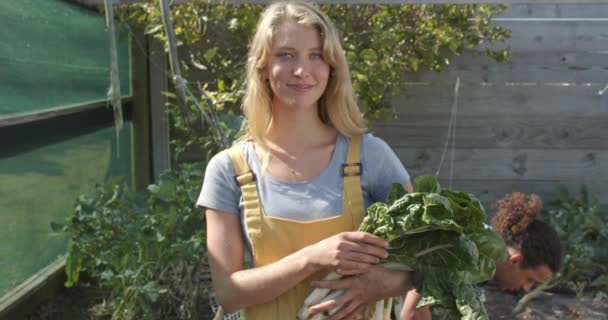 Retrato Feliz Casal Diverso Trabalhando Jardim Segurando Legumes Frescos Câmera — Vídeo de Stock