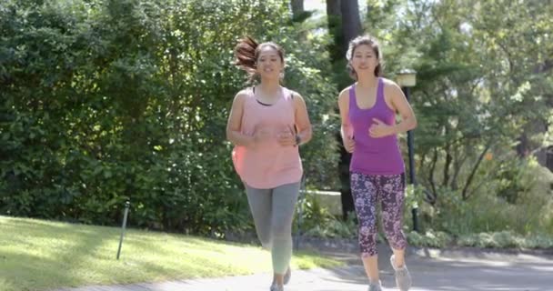 Ευτυχισμένες Ασιάτισσες Φίλες Τρέχουν Κοντά Στο Δάσος Την Ηλιόλουστη Μέρα — Αρχείο Βίντεο