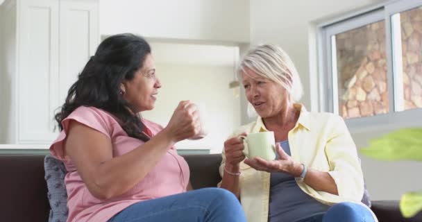 Ευτυχισμένη Ποικιλία Ηλικιωμένων Γυναικών Πίνοντας Καφέ Συζητώντας Στον Καναπέ Στο — Αρχείο Βίντεο