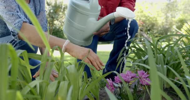 Happy Senior Diverse Couple Gardening Watering Plants Sunny Garden Slow — Stock Video