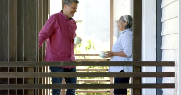 Happy Biracial Senior Couple Standing Window Talking Drinking Tea Retirement — Stock Video