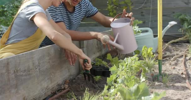 Glückliches Paar Das Garten Arbeitet Und Pflanzen Gießt Zeitlupe Organisch — Stockvideo
