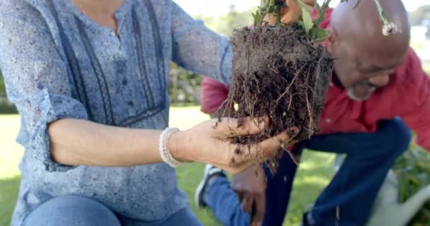Happy Senior Diverse Couple Gardening Sunny Garden Slow Motion Domestic — Stock Video