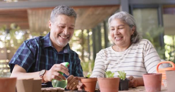 Boldog Változatos Idős Pár Asztalnál Növényeket Ültetnek Cserepekre Verandán Nyugdíj — Stock videók