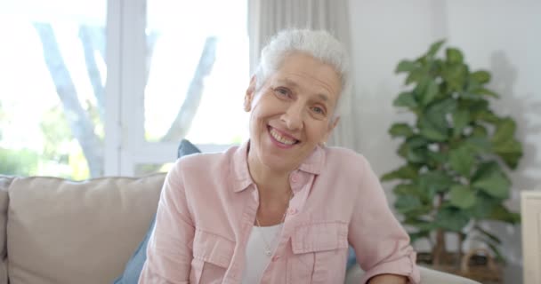 Retrato Una Mujer Birracial Mayor Feliz Sentada Sofá Con Videollamada — Vídeo de stock