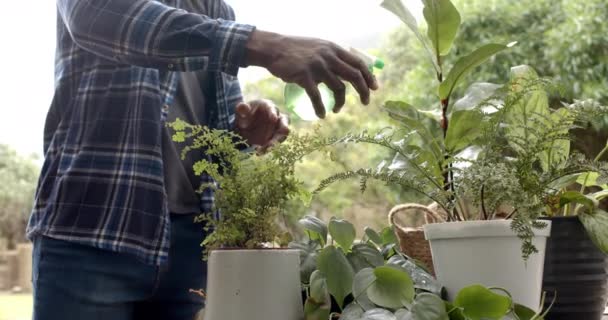 成長したアフリカ系アメリカ人男性が庭に植物を散水し ゆっくり動く エコロジー 家庭生活 ライフスタイル 変わらない — ストック動画