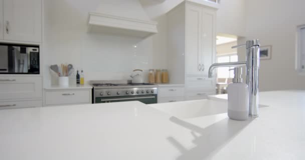 Kitchen Island Sink Furnitures Sunny Home Interior Design Home Domestic — Stock Video