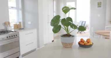 Büyük beyaz mutfak, bitkiler, büyük gardırop ve fırın, yavaş çekim. Tasarım, yemek pişirme ve mimari.