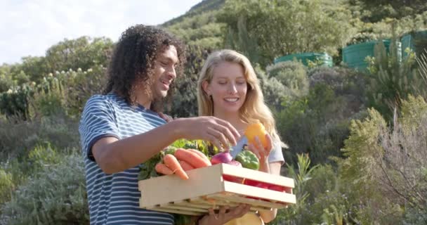 Casal Diverso Feliz Segurando Cesta Legumes Frescos Jardim Câmera Lenta — Vídeo de Stock