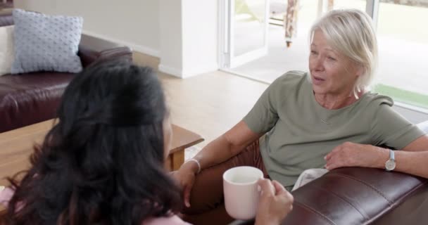 Feliz Diversas Mulheres Seniores Discutindo Sorrindo Sofá Sala Estar Ensolarada — Vídeo de Stock