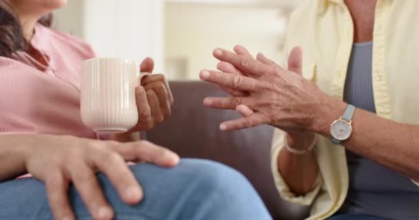 Feliz Diversas Mulheres Seniores Discutindo Mãos Dadas Sofá Sala Estar — Vídeo de Stock