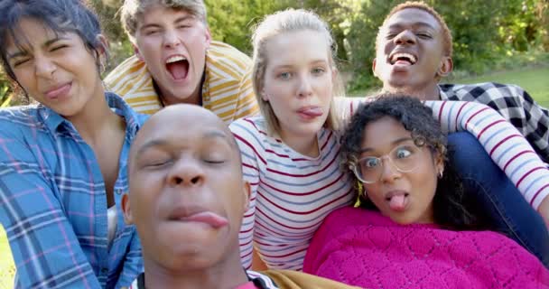 Çimenlerin Üzerinde Oturan Güneşli Parkta Kucaklaşan Çeşitli Genç Arkadaşlar Grubu — Stok video