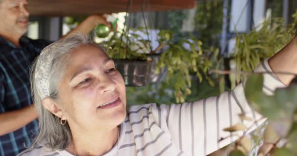 Happy Biracial Senior Couple Watering Hanging Plants Sunny Garden Retirement — Stock Video