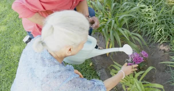 Happy Senior Biracial Couple Working Sunny Garden Home Slow Motion — Stock Video