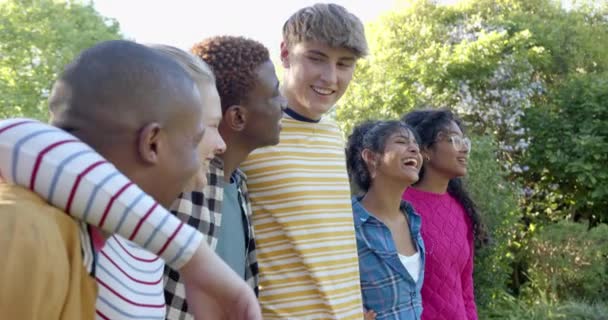 Güneşli Parkta Kucaklaşan Çeşitli Genç Arkadaşlar Grubu Yavaş Çekim Gen — Stok video